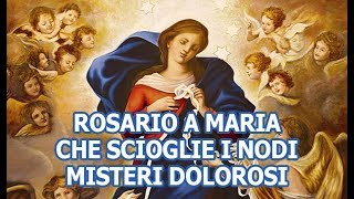 Rosario a Maria che scioglie i nodi  Misteri Dolorosi [upl. by Quintana]