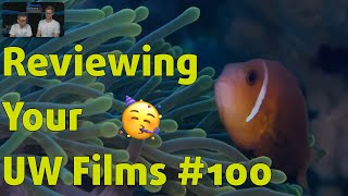 Reviewing YOUR UNDERWATER FILMS 100 ⎮ Mystery submission 🤔 [upl. by Elfrida]