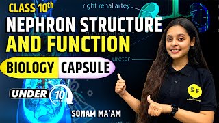 Nephron structure and function Biology Capsule  CBSE Class 10 Topic Under 10 Minute by Sonam Maam [upl. by Kampmann651]