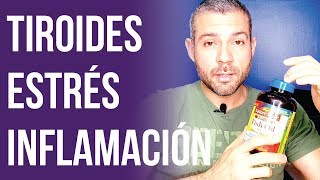 Suplementos Para la Tiroides Inflamación Estrés Salud y Fitness  Cómo Tomar Creatina [upl. by Hornstein26]