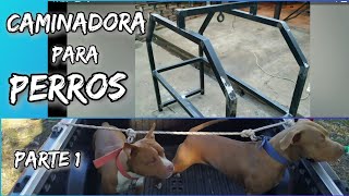 CAMINADORA PARA PERROS Parte 1 Made in Uruguay 🤣👍🇺🇾 [upl. by Anawed]