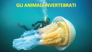 GLI ANIMALI INVERTEBRATI [upl. by Marlo]