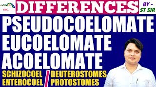 CoelomBody Cavity  Acoelomates Pseudocoelomates and Eucoelomates  Schizocoel vs Enterocoel [upl. by Erlond52]