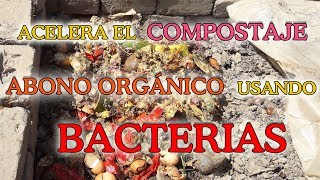 ACELERA EL COMPOSTAJE USANDO BACTERIAS [upl. by Horne]