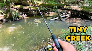 Simplified Creek Ultralight Fishing [upl. by Llahsram]