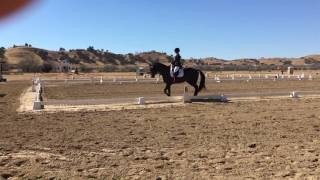 Yves at Twin Rivers Fall HT 2016  Novice Test B [upl. by Ayikin]