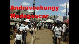 Andravoahangy 🐮 Marché le plus important de Antananarivo 🐷 Madagascar LaReunionTV [upl. by Esekram]