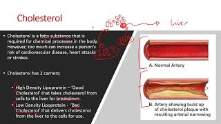 AQA A Level PE 2018  Cardiovascular System Lesson [upl. by Ahsia]