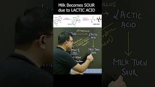 Why Baking soda is added to milk shorts ytshort shortvideo [upl. by Fania]