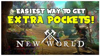 EXTRA POCKETS PERK How To Farm Sliver of Adderstone  New World Guide [upl. by Ardy878]