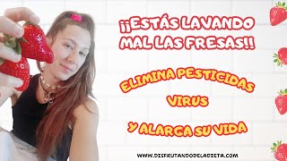 ¡¡ESTÁS LAVANDO MAL LAS FRESAS 🚰 🍓💧 Alarga su vida útil eliminando virus y pesticidas [upl. by Lehrer954]