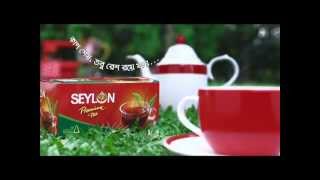 SEYLON Premium Tea Tvc  No Stapler Pin [upl. by Benildis162]