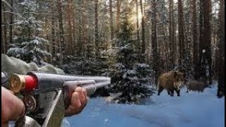 Охота на дикого кабана Красивый момент  wild boar hunting 2017 [upl. by Regnij]