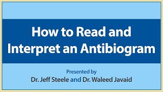 How to Read and Interpret an Antibiogram [upl. by Kcirtapnaes]