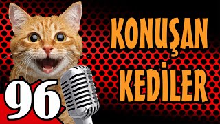 Konuşan Kediler 96 En Komik Kedi Videoları [upl. by Kiyoshi562]