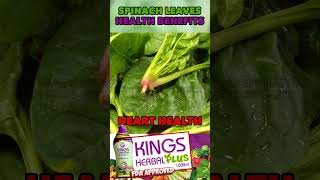 Health benefits of spinach  KINGS Herbal Plus Ingredients [upl. by Redneval]