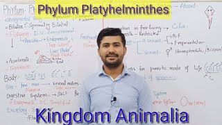 105 Phylum platyhelminthes  kingdom Animalia  Fsc Biology class 11 [upl. by Cordula617]