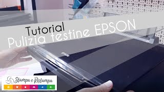 Tutorial  pulizia testine stampanti Epson getto di inchiostro Inkjet  Stampa e Ristampa [upl. by Euqenimod597]