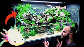 💚 Huge Natural 4ft Aqua Terrarium  Paludarium  Planted Tank Rehoming Pancho My Axolotl How To [upl. by Lyrahc]