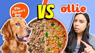 Brutally Honest Dog Food Review 👉 Farmer’s Dog vs Ollie [upl. by Carlson]