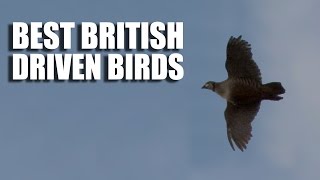 Best British Driven Bird Shooting [upl. by Airbmat]