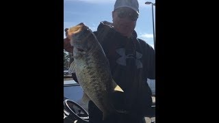 Prespawn Tournament Bass Fishing on Lake Russell [upl. by Enrique]