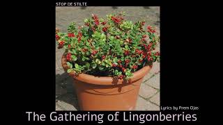 The Gathering of Lingonberries [upl. by Ronalda21]