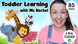 Toddler Learning with Ms Rachel  Learn Zoo Animals  Kids Songs  Educational Videos for Toddlers [upl. by Chloras]