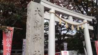 2013 雑司が谷大鳥神社 酉の市 [upl. by Ahseekan230]