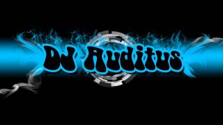 DJ Auditus  SashEcuador ReMiX [upl. by Jotham]