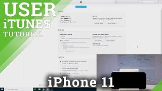 How to Restore Data in iPhone 11  How to Use iTunes Restore [upl. by Sualakcin]