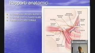 Circolo arterioso e venoso arti superiori [upl. by Myra]