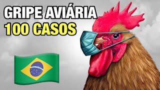 Brasil registra 100º caso de gripe aviária aponta relatório do governo [upl. by Ardin145]