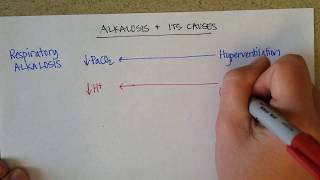 Causes of Blood Alkalosis [upl. by Wiggins]