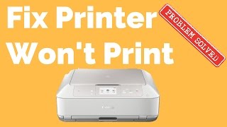 How to Fix A Printer That Wont Print [upl. by Emiatej]