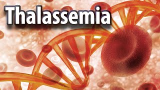 Everything about THALASSEMIA [upl. by Trip]