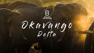 Botswana’s Okavango Delta  Heaven on Earth [upl. by Enneirb]