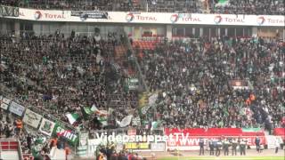 Bayer Leverkusen vs Rapid Wien  Rapid Stimmung  081112 Europa League  Rapid in Leverkusen [upl. by Adon]