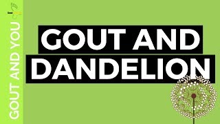 GOUT AND DANDELION [upl. by Shandee]