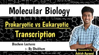 Differences Between Prokaryotic amp Eukaryotic Transcription  Molecular Biochemistry  Biochemistry [upl. by Abate]