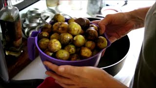 Canning Whole Figs [upl. by Averat]