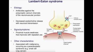 Myasthenia Gravis V Lambert Eaton Syndrome USMLE [upl. by Dominick]