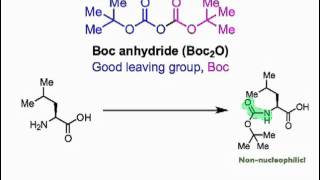 Peptide Synthesis in the Laboratory [upl. by Hendry221]