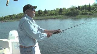 Big Spring Stripers of Narragansett Bay [upl. by Peoples]