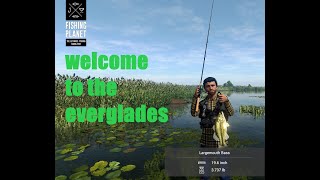 Fishing Planet Everglades HOTSPOTS fishingplanet everglades hotspots [upl. by Nyllewell907]