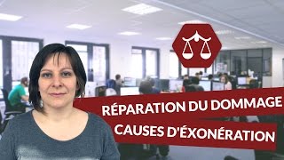 La réparation du dommage  les causes déxonération  Droit  digiSchool [upl. by Dick]