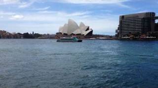 SHARK  Sydney Harbour [upl. by Mullane]