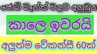 job vacancy 2024 job vacancies Job guide sri lanka job interview jobs at homegoverment jobs jobs [upl. by Fawne]