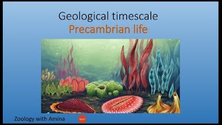 Geological timescale  Precambrian life  Zoology with Amina [upl. by Hcab]