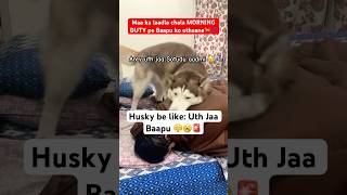 My husky’s morning routine Uth jaa Pawpa🤦‍♂️🤣🚨 funnyhusky dogdad doglovers [upl. by Nnylyoj]